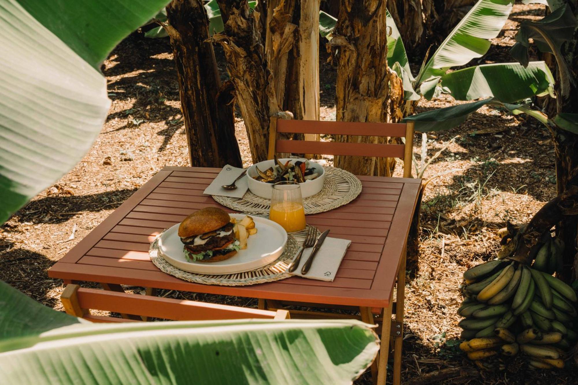The Farm - Azores Boutique House Πόντα Ντελγκάντα Εξωτερικό φωτογραφία